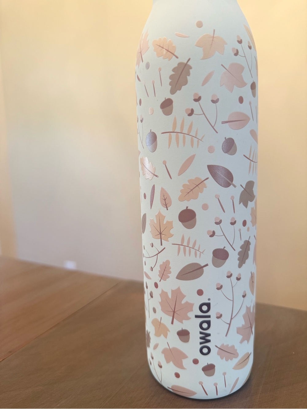 Owala Special Edition 24oz Stainless Steel Water Bottle Fall Flutter - Picture 3 of 9